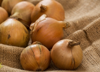 types-of-onions-spain