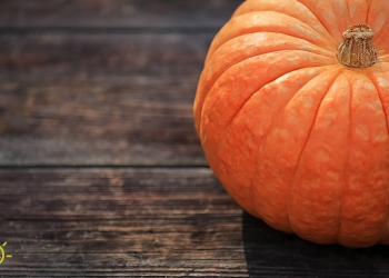tips-choose-pumpkin