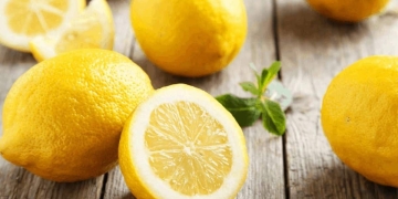 When is the lemon season in Spain