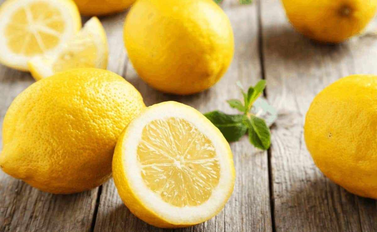 When is the lemon season in Spain