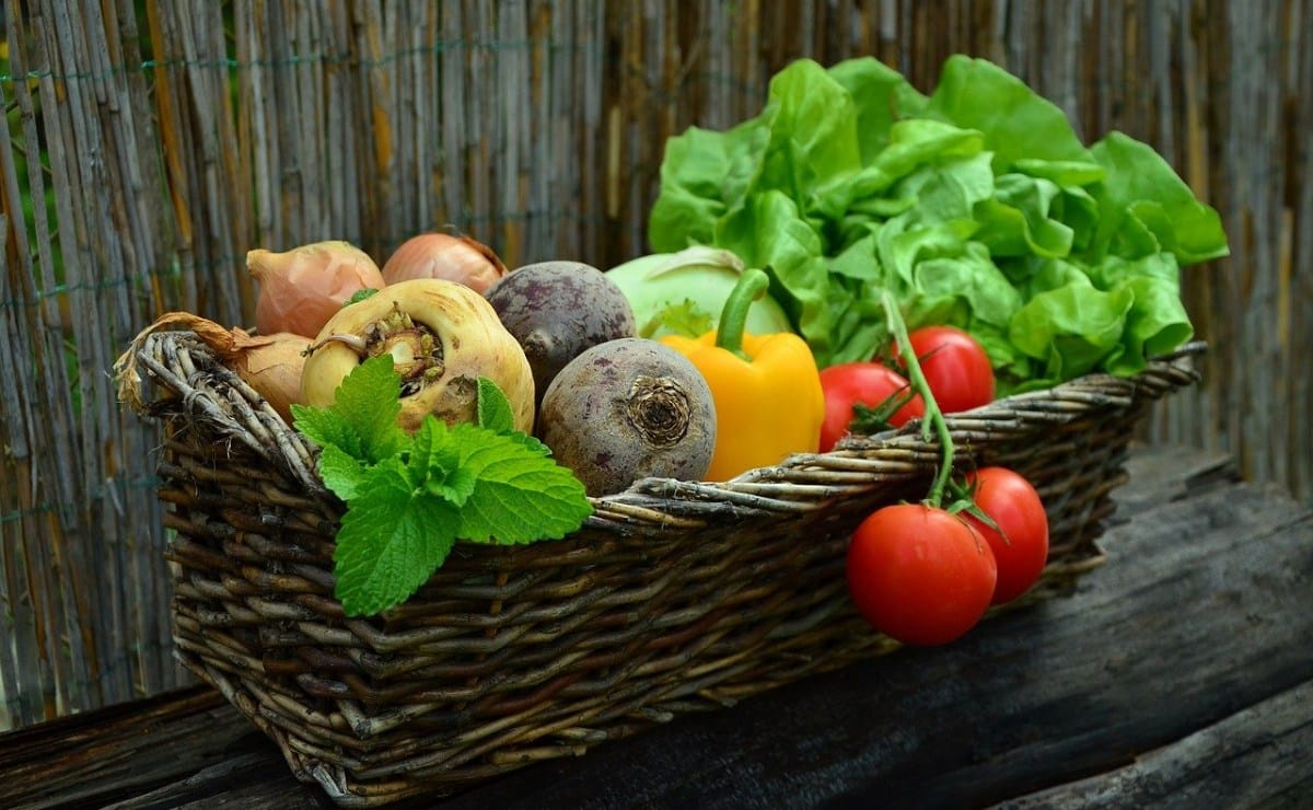 Lista de todas las verduras y frutas de temporada en Noviembre