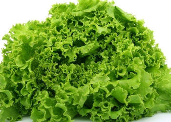 What happens to you if you eat lettuce at night?