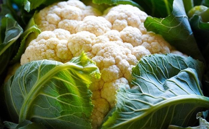 coliflor nata queso horno antioxidante fibra hortaliza coliflor nata queso horno antioxidante fibra hortaliza