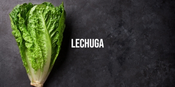 lechuga-por-la-noche