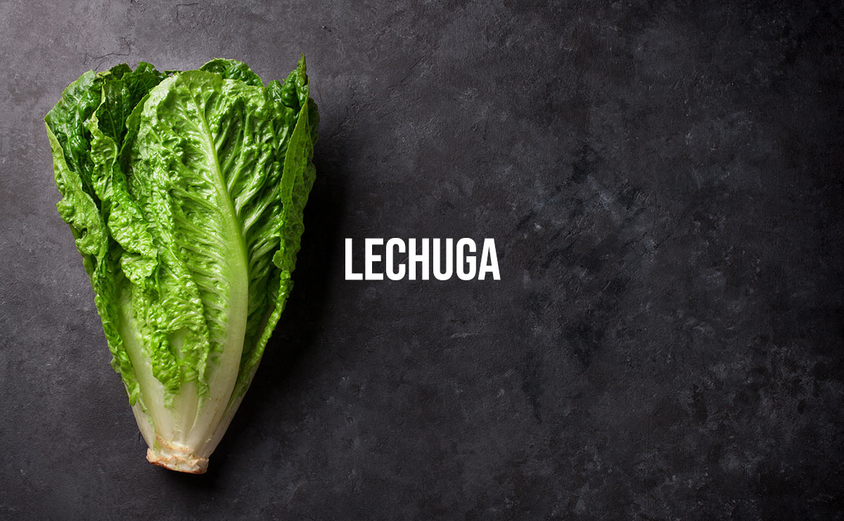 lechuga-por-la-noche