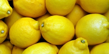Cada vez se venden más limones sudafricanos