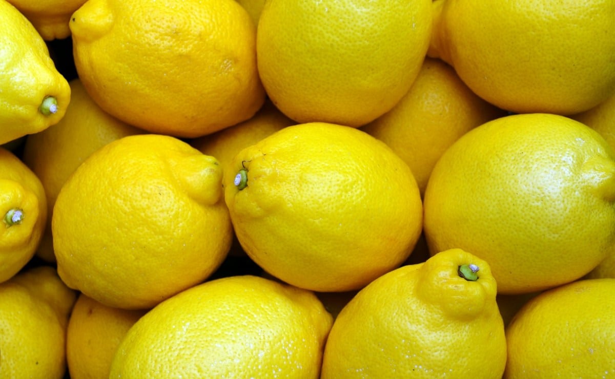 Cada vez se venden más limones sudafricanos