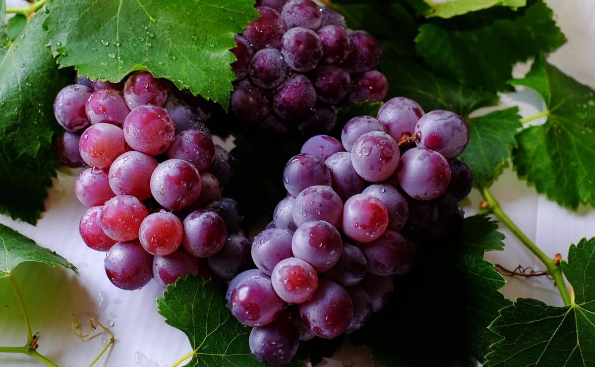 Semillas de las uvas: por qué las gente las quita pese a aportar estos beneficios