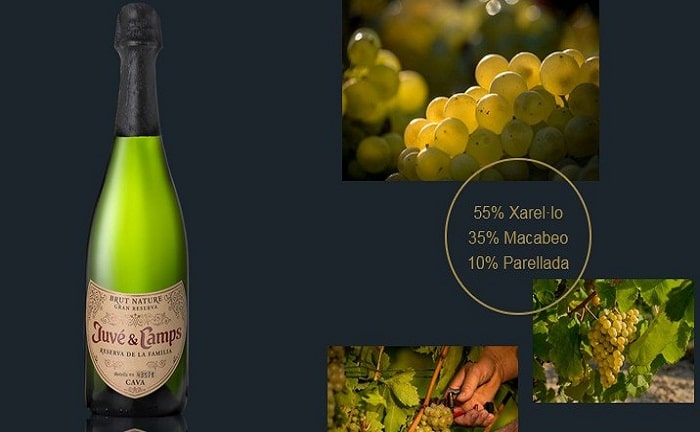 vino cava mercadona centro comercial champagne navidad espumosa burbuja potasio brindis vino cava mercadona centro comercial champagne navidad espumosa burbuja potasio brindis