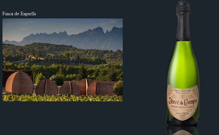 vino cava mercadona centro comercial champagne navidad espumosa burbuja potasio festividades maridaje vino cava mercadona centro comercial champagne navidad espumosa burbuja potasio festividades maridaje