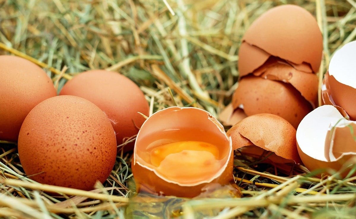 Beneficios de consumir huevo crudo, ideal en ayunas