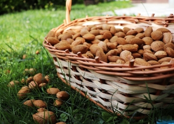 almonds health benefits omega 3 potassium fatty acids vitamins minerals nutrients superfoods health antioxidants