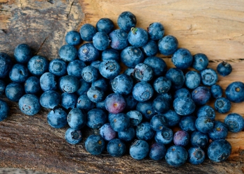 blueberries benefits properties