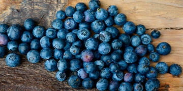 blueberries benefits properties