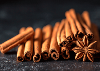 Stacked cinnamon sticks and an anise leaf in the foreground.