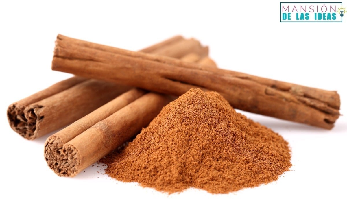 taking cinnamon every day is healthy