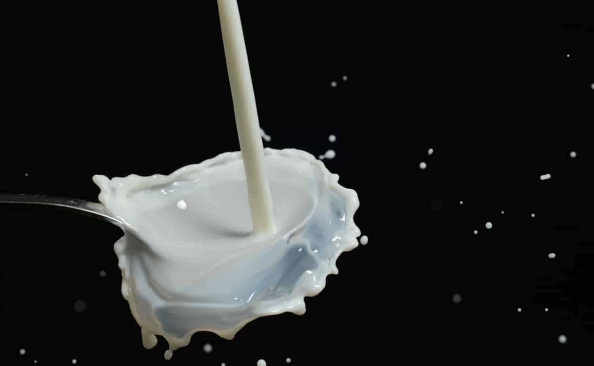 Beneficios de consumir kumis
