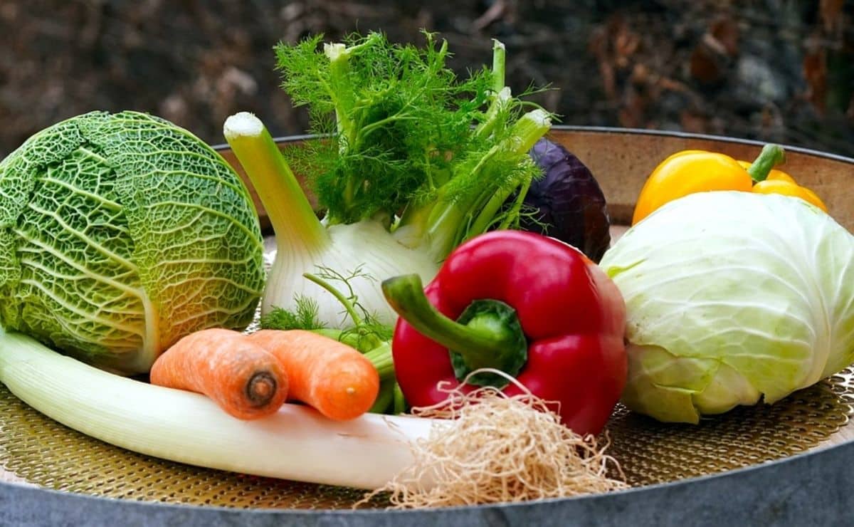 Beneficios de consumir vegetales