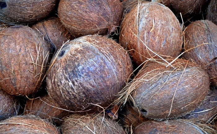 un conjunto de cocos