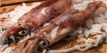 como limpiar calamares