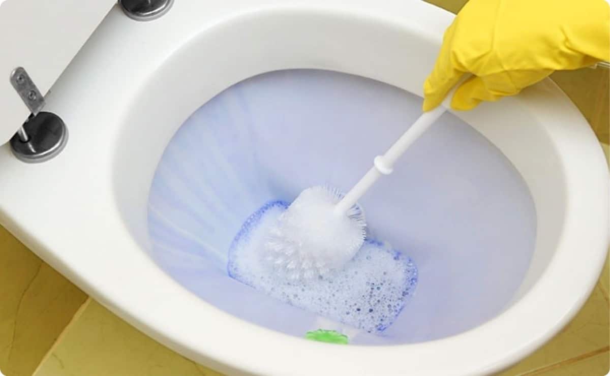 how to clean the bottom of the toilet