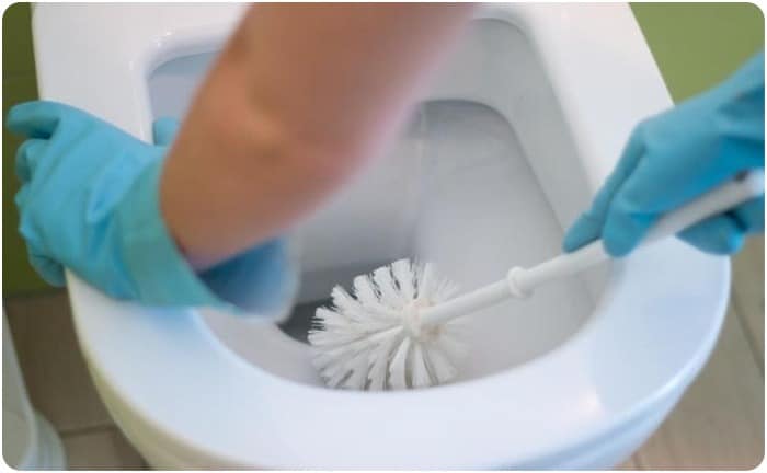remove stains from the bottom of the toilet