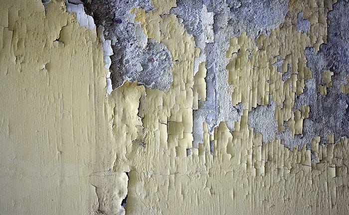 clean wall bleach