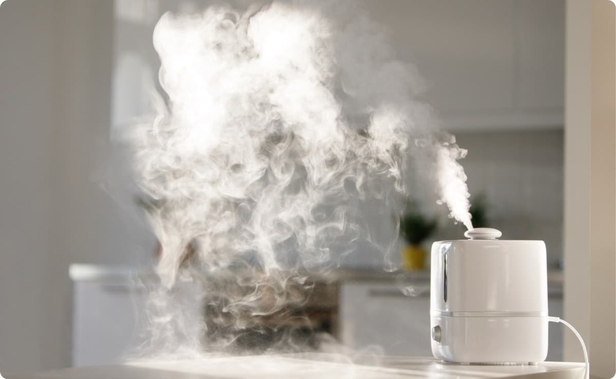 limpiar humidificador aire