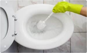 clean white toilet