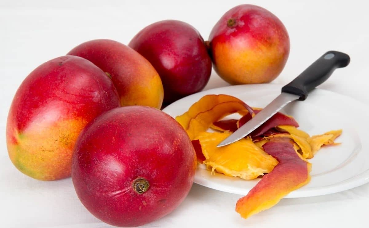 Beneficios del mango