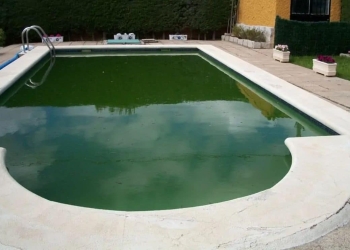 Piscina agua verde