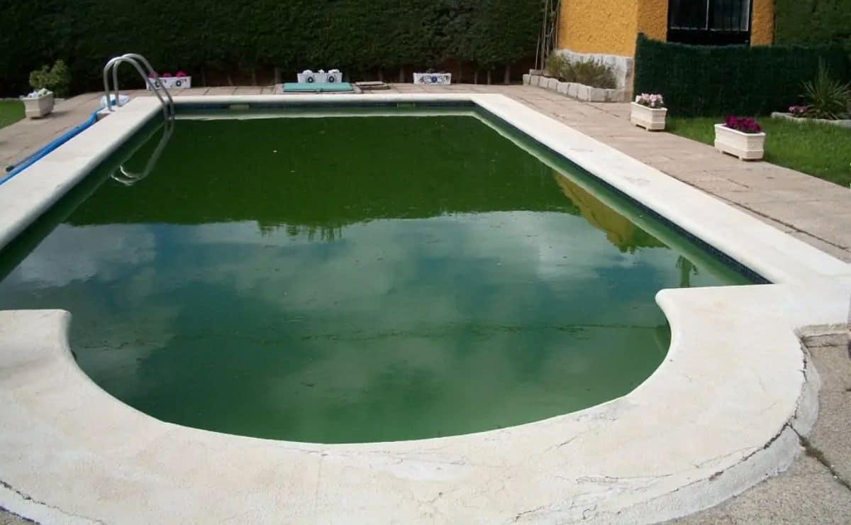 Piscina agua verde