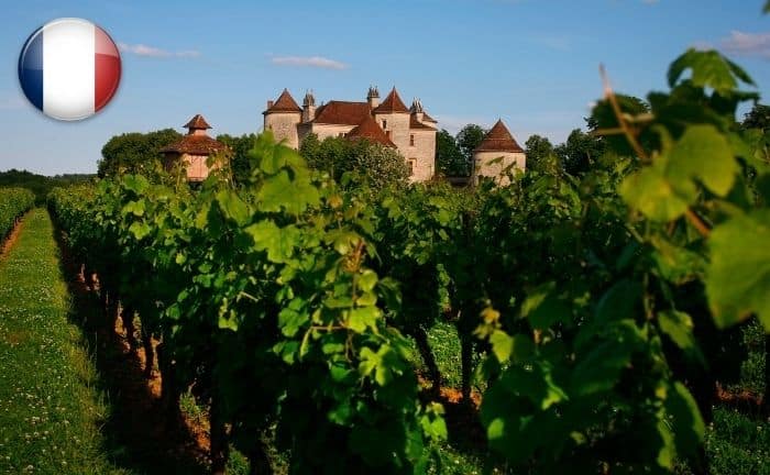 Francia es uno de los mejores países productores de vino del mundo