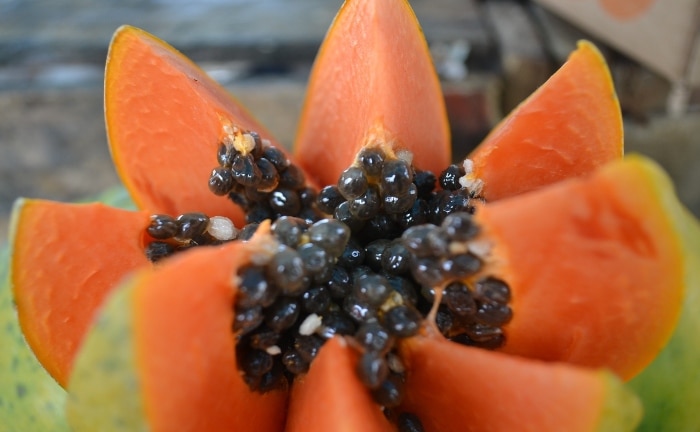 la papaya aporta muchos beneficios a la salud