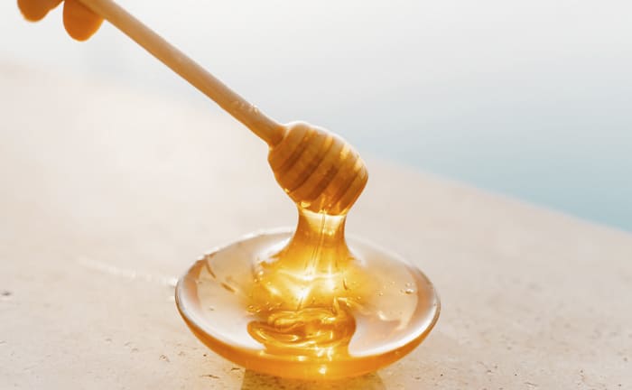 Receta torrijas miel en Thermomix