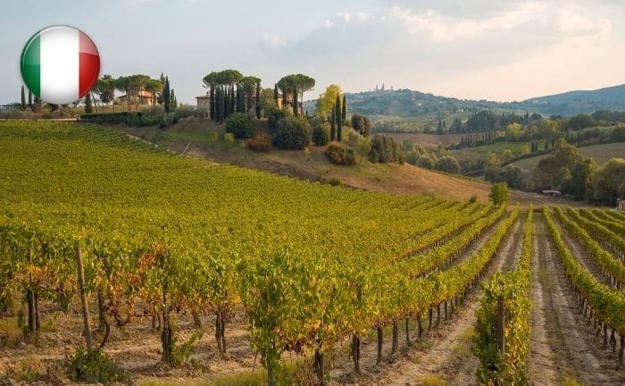 Italia es otro de los mejores países productores de vino del mundo