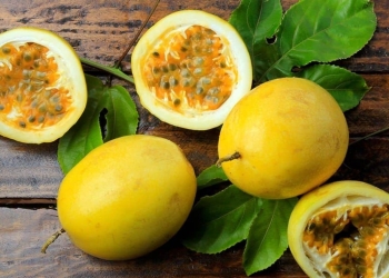 Cáscara de maracuyá