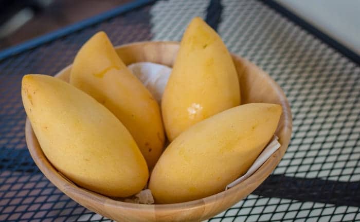 mango lowers glucose levels