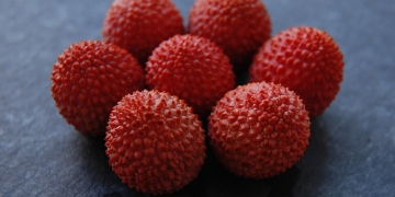 comer lichis