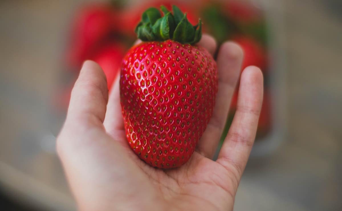 comer fresas de noche