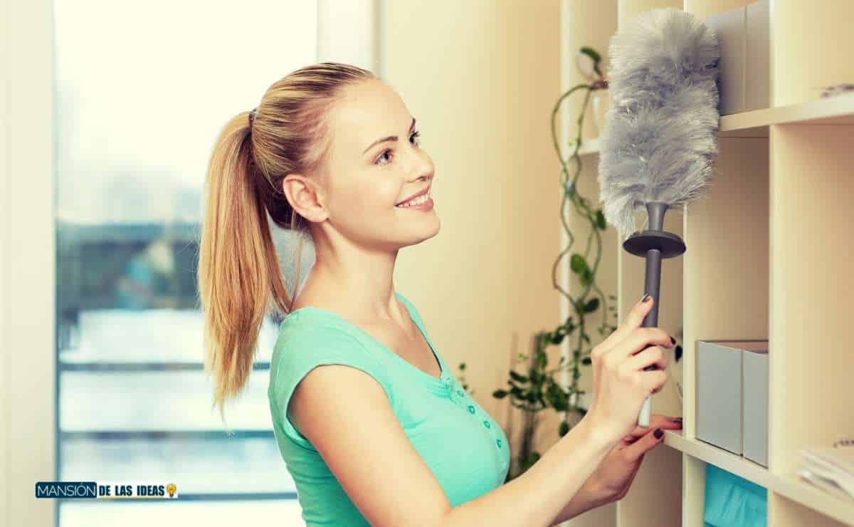 limpiar el polvo en casa