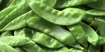 limpiar judias verdes
