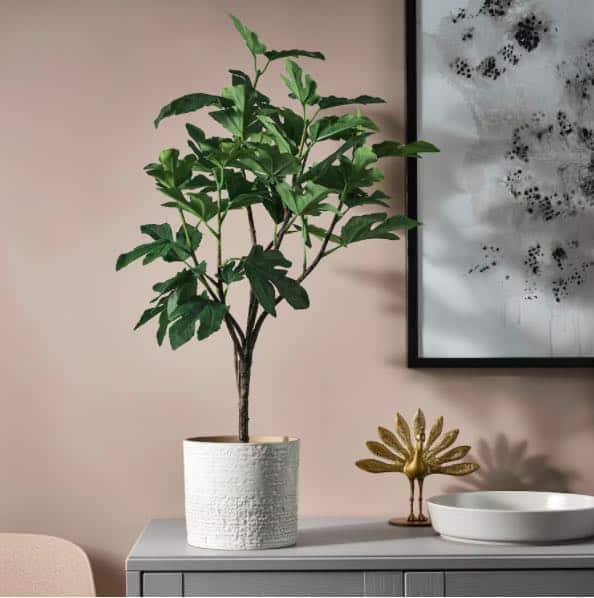 Planta imitación higuera, Ikea