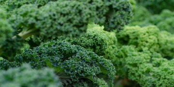 quien no puede comer kale