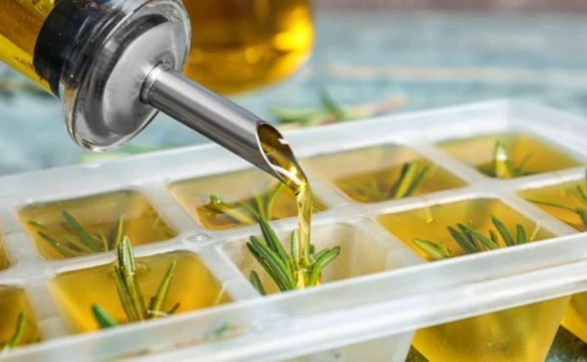 Por que el aceite de oliva se congela