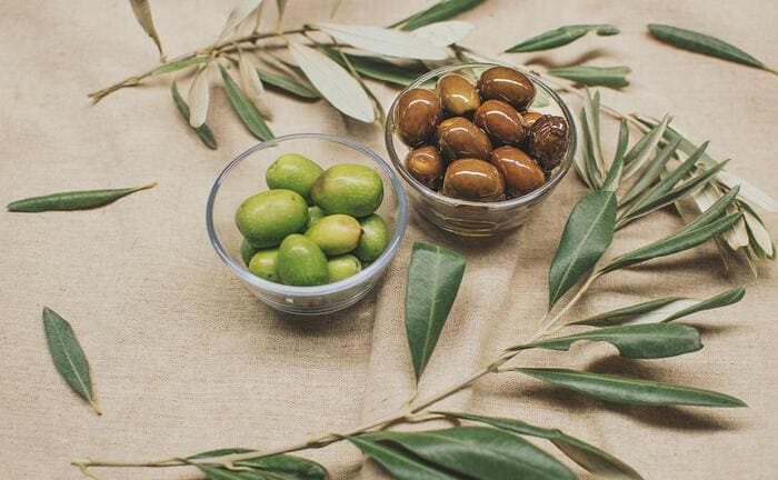 aceitunas antes de procesar para aceite de orujo de oliva