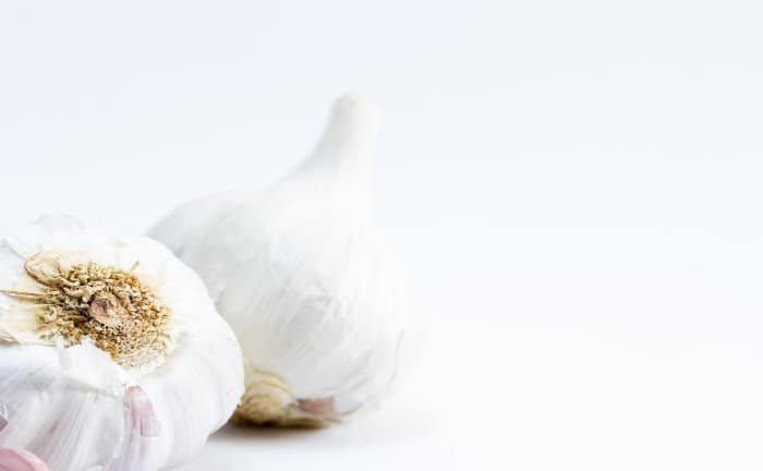 best way to plant garlic