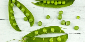 engordar con los guisantes