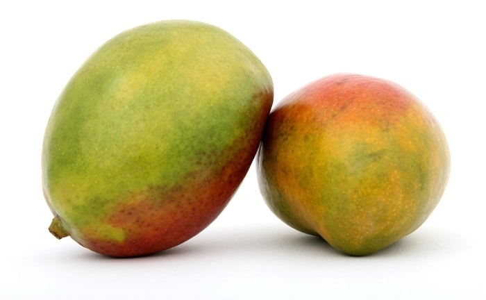 mangoes ready