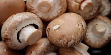 champiñones